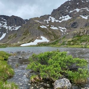 Meet your Posher, Elaine